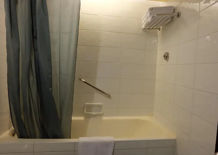 The Rose Hotel 3*
